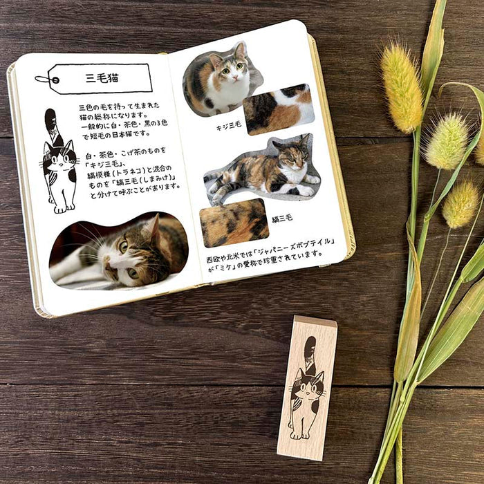 Arte CO | Sello Calico Cat