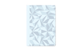 Caran d'Ache Lined Notebook - A5 - Alpine Frost (Special Edition)