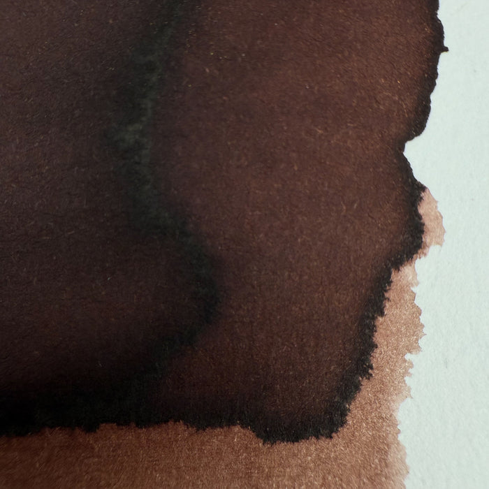 Colorverse 15ml Korea Special Bottled Ink - Common Reed