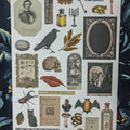 CoraCreaCrafts Curiosities Sticker Sheet