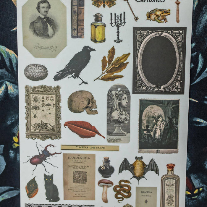 CoraCreaCrafts Curiosities Sticker Sheet