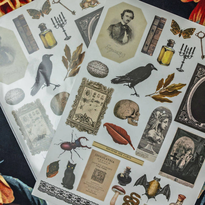 CoraCreaCrafts Curiosities Sticker Sheet