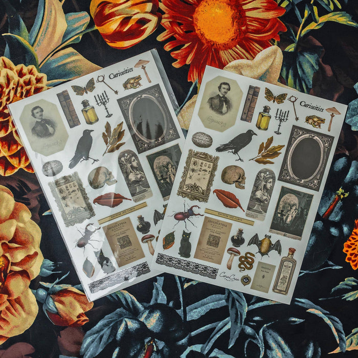 CoraCreaCrafts Curiosities Sticker Sheet