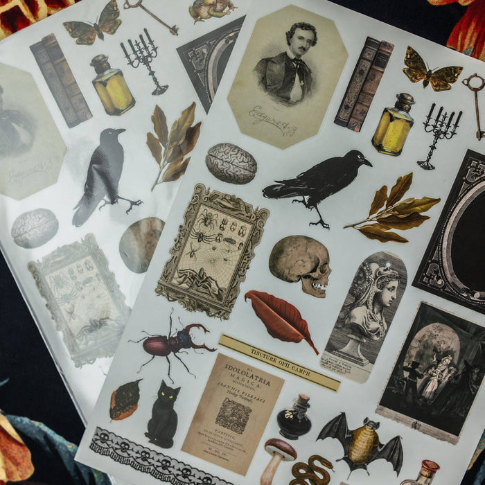 CoraCreaCrafts Curiosities Sticker Sheet