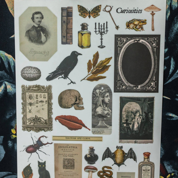 CoraCreaCrafts Curiosities Sticker Sheet