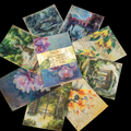 Atlas Stationers - CoraCreaCrafts Sticker & Vellum Paper Set - Secret Garden - Stickers