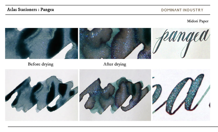Dominant Industry Pangea  - 25ml Bottled Ink (Atlas Exclusive)