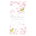 Furukawashiko Today's Letter - Cherry Blossoms and Japanese Warblers