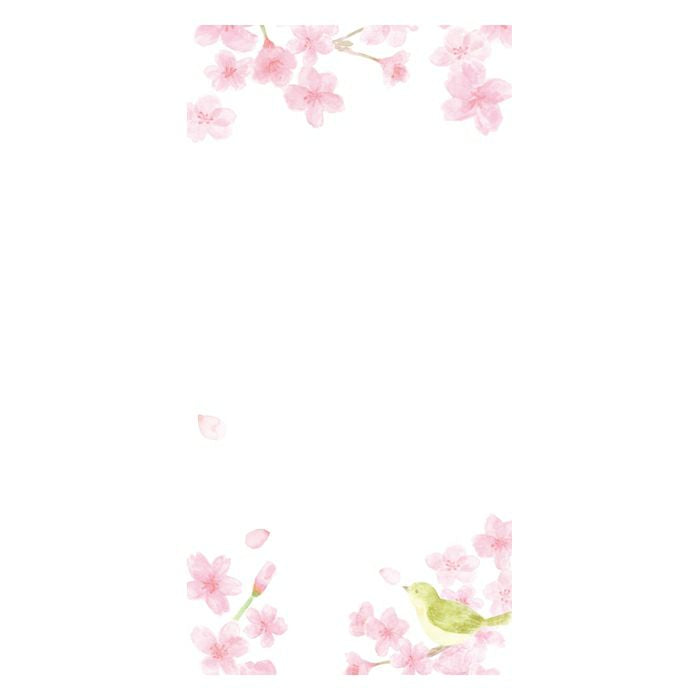 Furukawashiko Today's Letter - Cherry Blossoms and Japanese Warblers