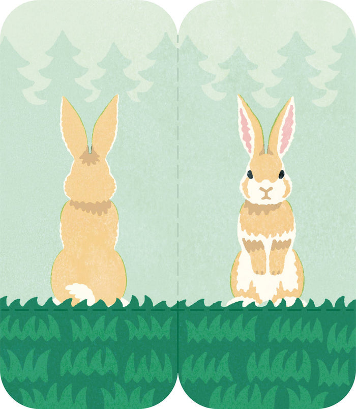 FUTAMATA-FUSEN Decoration Paper Tape - Size M - Rabbit