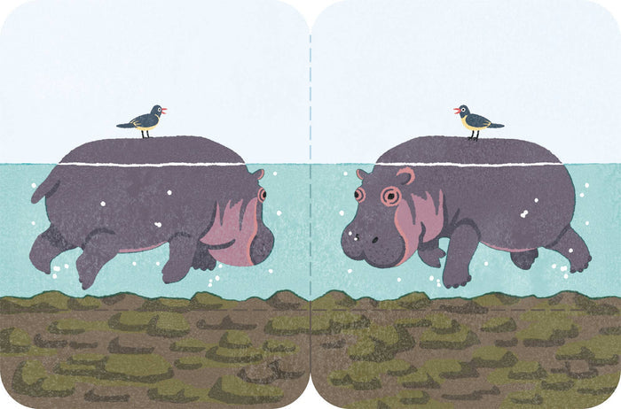 FUTAMATA-FUSEN Decoration Paper Tape  Size L - Hippopotamus