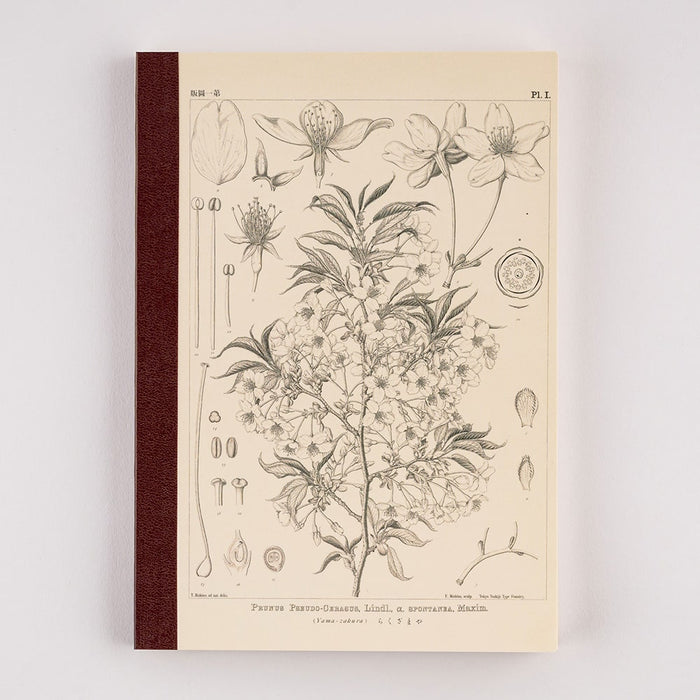 Hobonichi | Cuaderno Hobonichi Notebook A5 Tomitaro Makino (Cuadros)