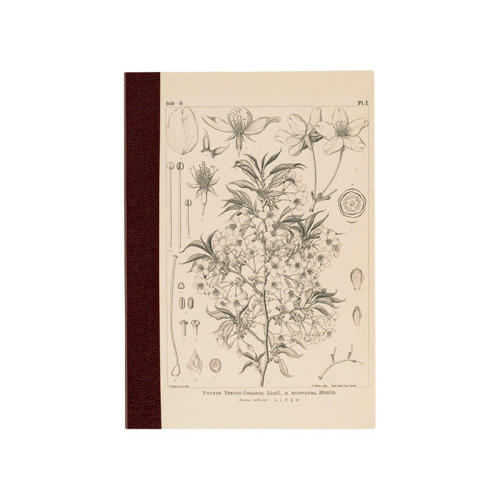 Hobonichi | Cuaderno Hobonichi Notebook A6 Tomitaro Makino (Cuadros)