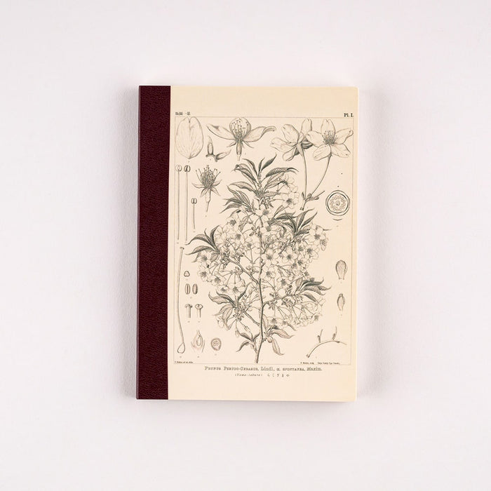 Hobonichi | Cuaderno Hobonichi Notebook A6 Tomitaro Makino (Cuadros)