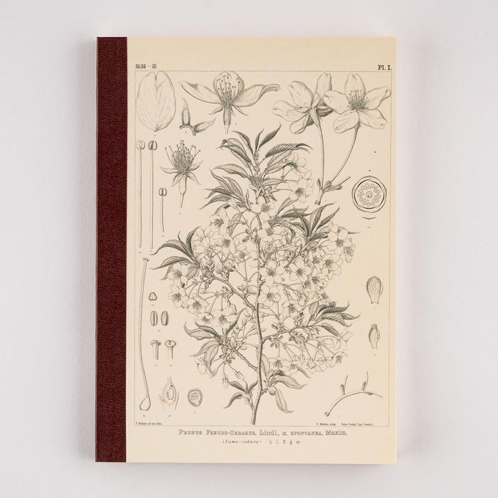 Hobonichi Tomitaro Makino: Hobonichi Graph Notebook (A5) - Yamazakura