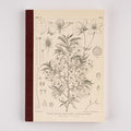 Hobonichi Tomitaro Makino: Hobonichi Graph Notebook (A5) - Yamazakura