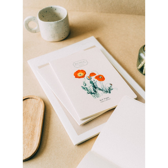 Kokonote | Pack de 3 Cuadernos A5 Botanical Wild Flowers