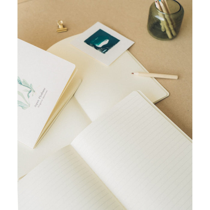 Kokonote | Pack de 3 Cuadernos A5 Botanical Wild Flowers