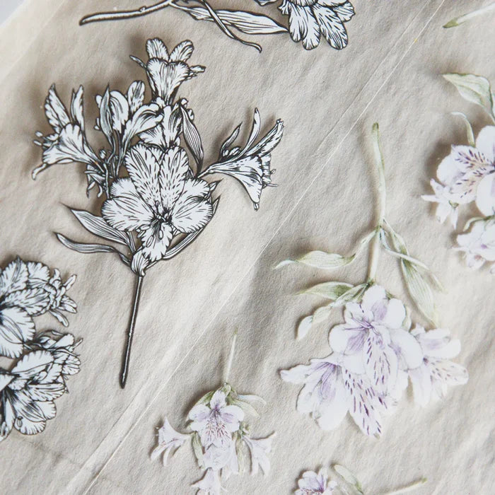 Loi Design | Small Bouquet Clear PET Tape