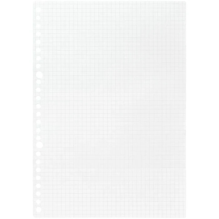 Maruman Loose Leaf Paper - Graph - B5