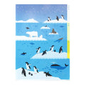 Midori | Portafolios de 3 Compartimentos A4 Sea Creatures