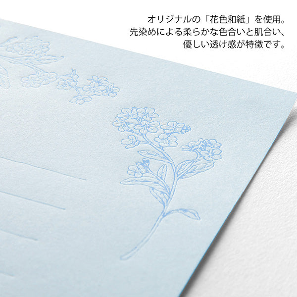 Midori | Set de Cartas Original Floral Blue