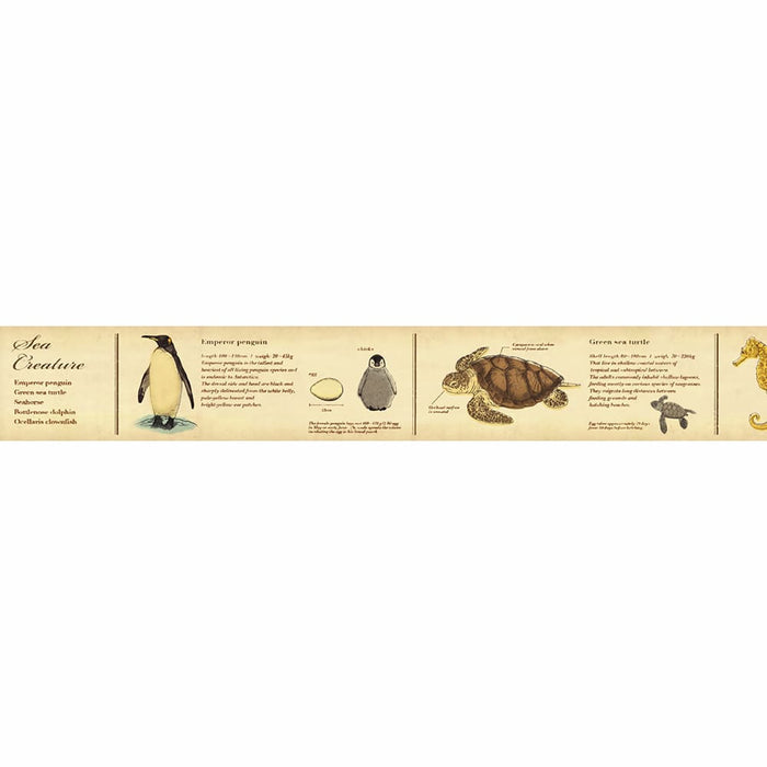 MT Masking Tape | Encyclopedia Marine Creature Washi Tape