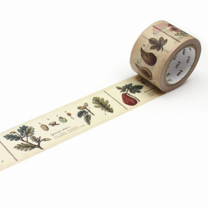 MT Masking Tape | Encyclopedia Plant Washi Tape