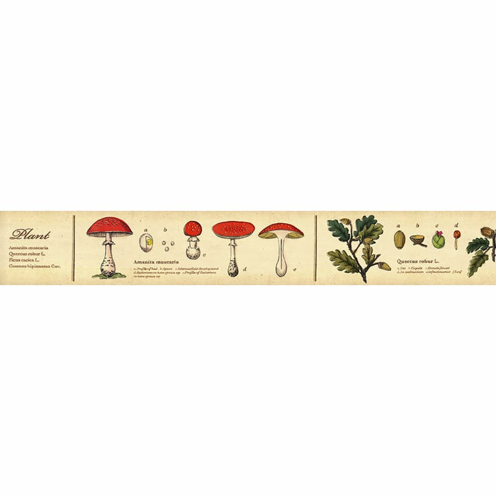 MT Masking Tape | Encyclopedia Plant Washi Tape