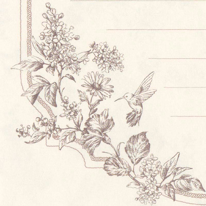 NB CO | Papel de Carta Prier Collibri