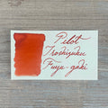 Pilot Iroshizuku Fuyu-Gaki - 15ml Bottled Ink