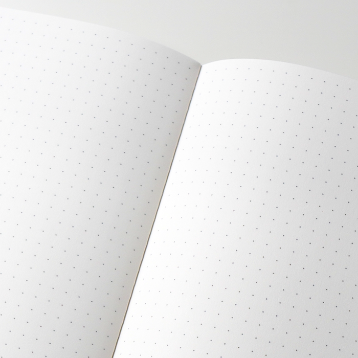 Tomoe River Notebooks B5