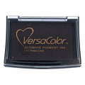 Tsukineko | Tinta Versacolor Pinecone 171