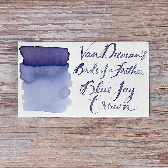 Van Dieman's Birds of a Feather - Blue Jay Crown - 40ml Bottled Ink